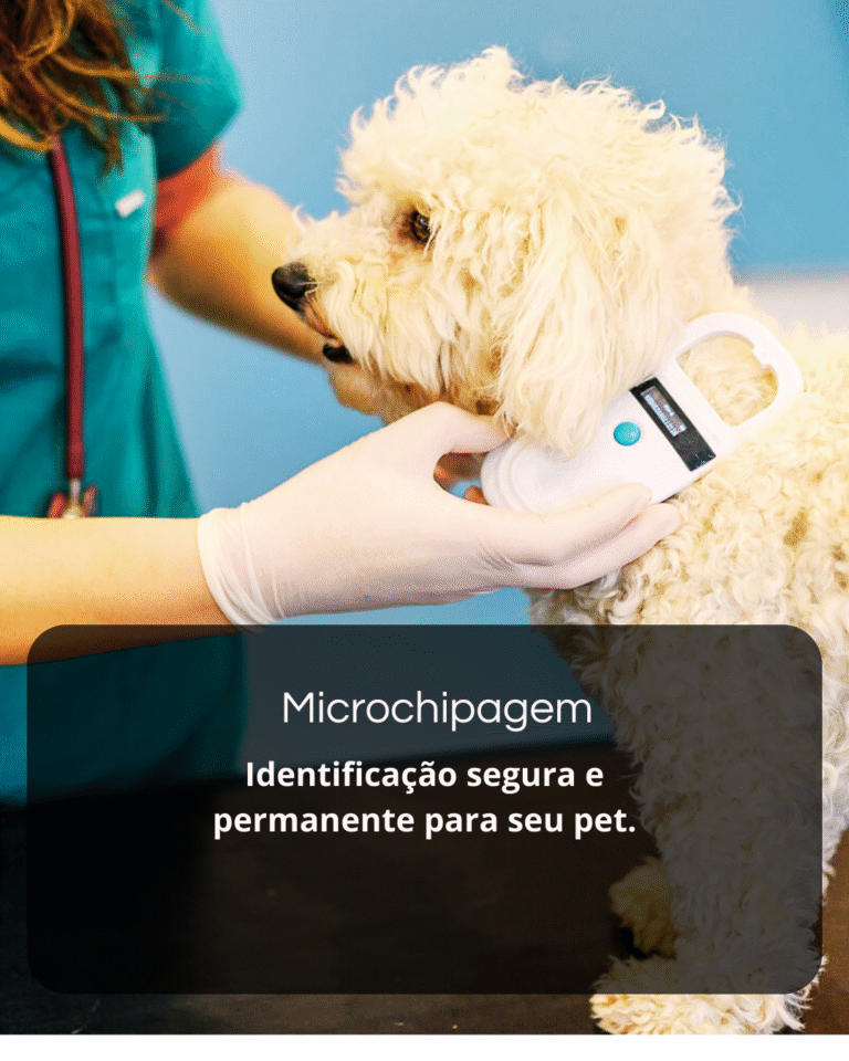 Sem nome (1080 x 1350 px) (10)