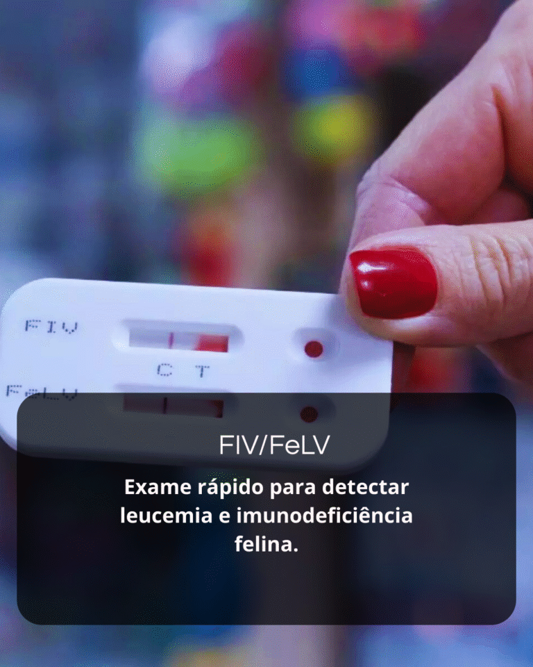 Sem nome (1080 x 1350 px) (11)