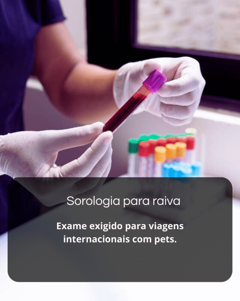 Sem nome (1080 x 1350 px) (14)