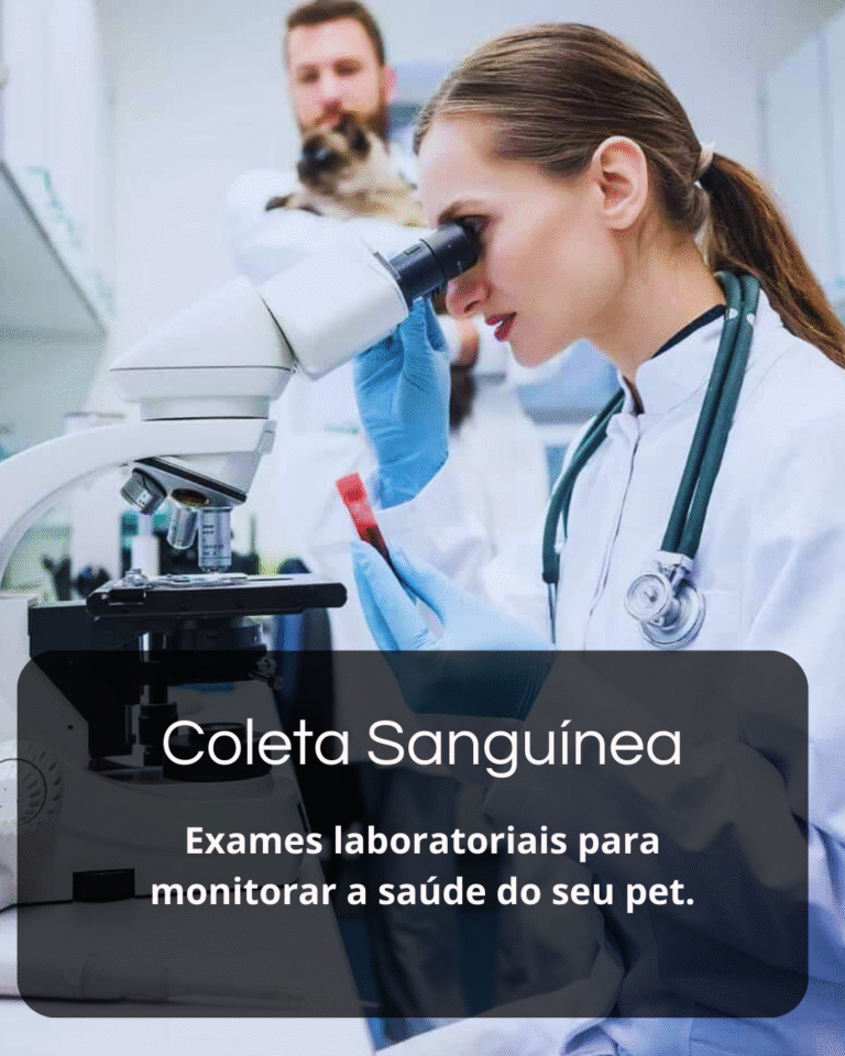 Sem nome (1080 x 1350 px) (5)