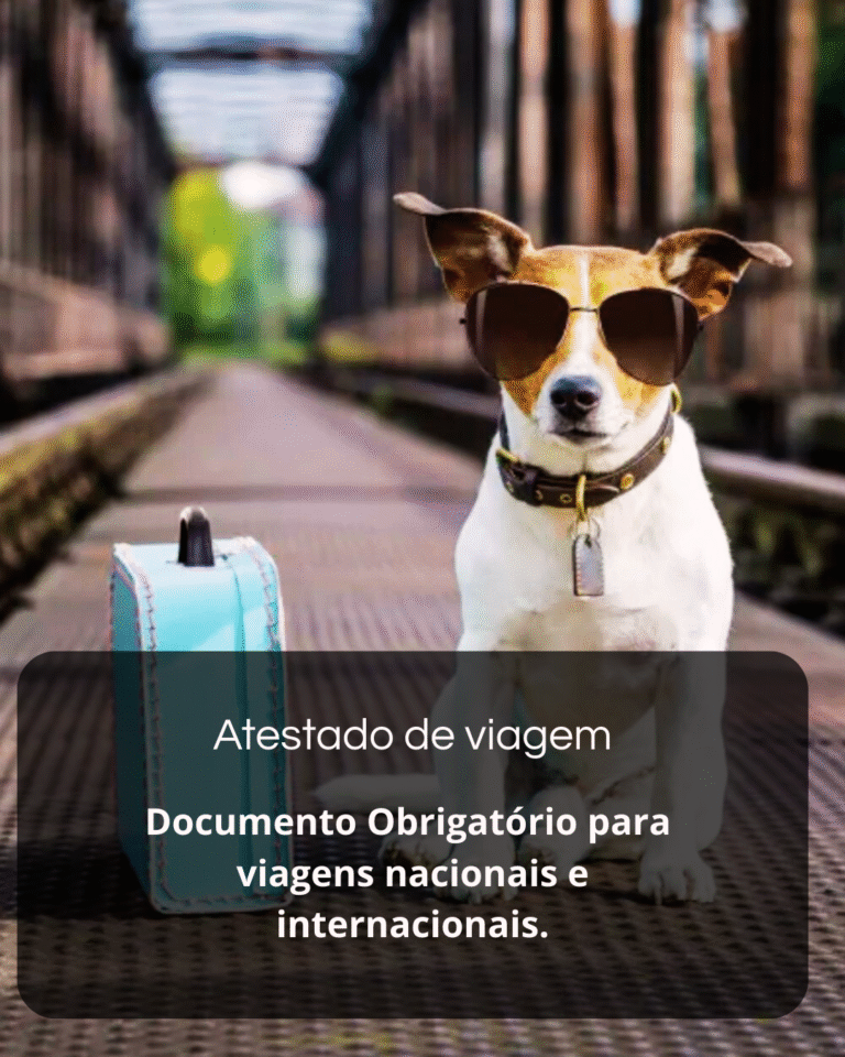 Sem nome (1080 x 1350 px) (7)