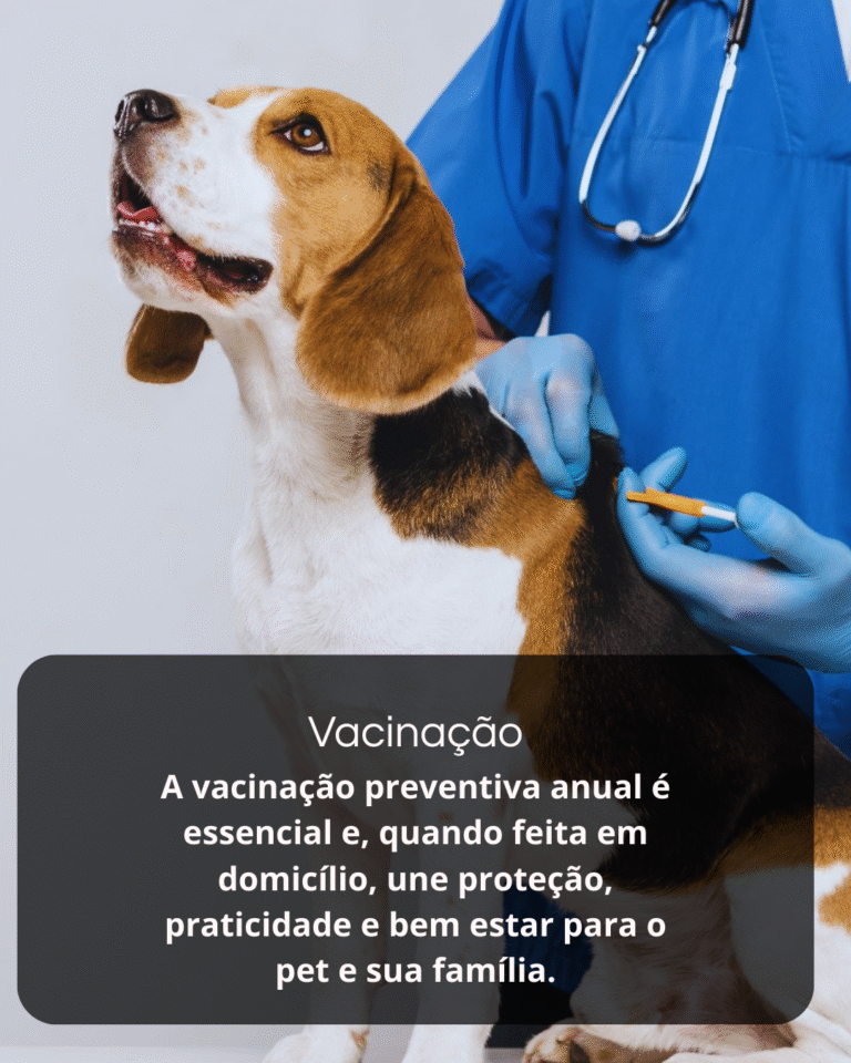 Sem nome (1080 x 1350 px) (8)